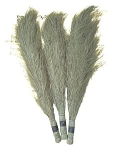 Natura Greenhouse Broom Jhadu Jharu Jhata Khejur Khajur Patte Pata ...