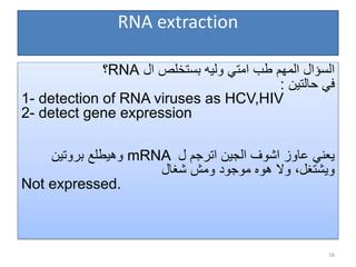 DNA RNA Extraction Process 的图像结果