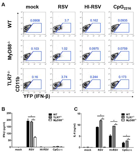 Differential Role of Anti-Viral Sensing Pathway for the Production of ...