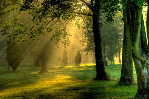 Morning Routine for Vacation 的图像结果