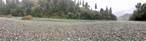 Alfred A. Loeb State Park Campground | Brookings, Oregon