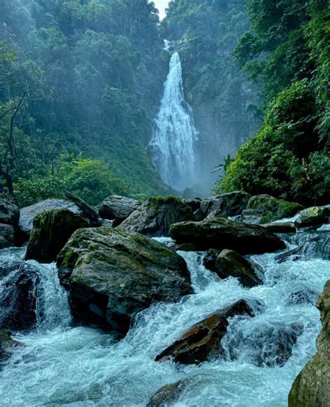 3 days and 2 nights in Ailao Mountain, Kunming, Yunnan (Magnificent ...