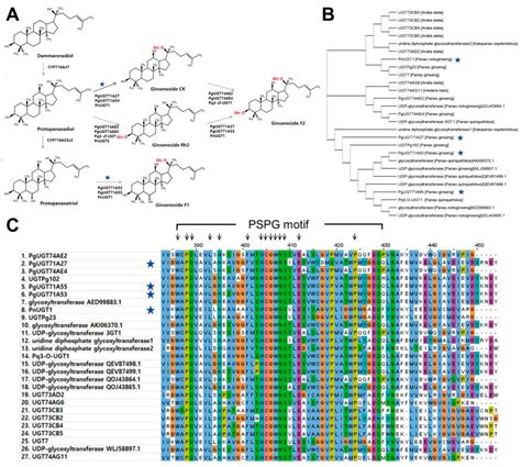 Structure-Based Pipeline for Plant Enzymes: Pilot Study Identifying ...