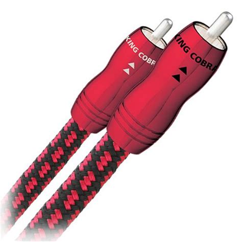 Buy AudioQuest Kingcobra audio cable - RCA plugs 0.5m 1.64 feet stereo ...