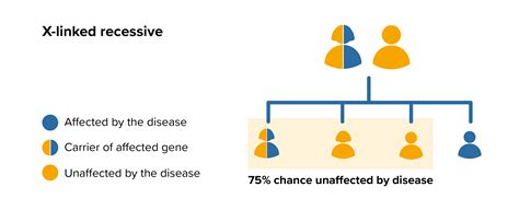 MPS II Hunter | MPS Society