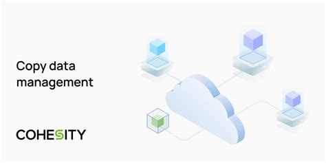 Image result for Copy Data Manager