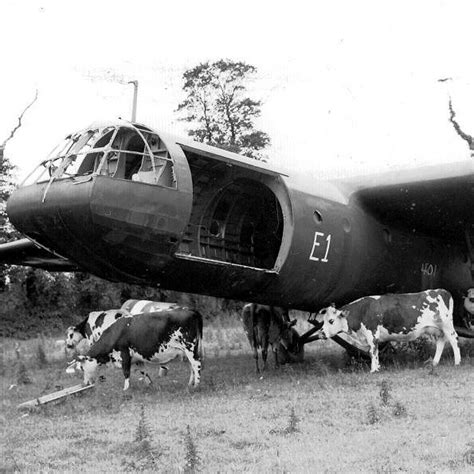 MEMORY TRACKS (2025) All You Need to Know BEFORE You Go (with Photos ...