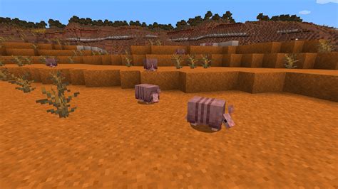 Where To Find Armadillo Minecraft