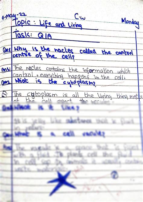 Class 6 Science Notes 的图像结果