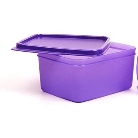 Buy Tupperware Xtreme Container Lunch Box (Purple) Online at Low Prices ...