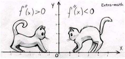 Image result for Crazy Math Stuff