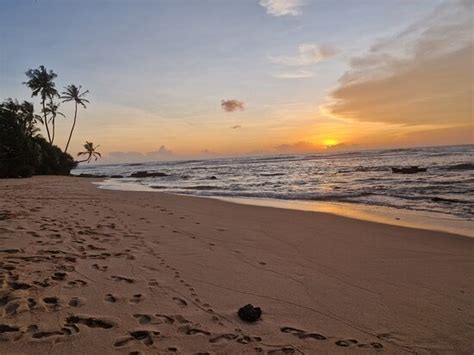 Newly opened hotel….just book it!! - Review of Tantalize Beach, Akurala ...