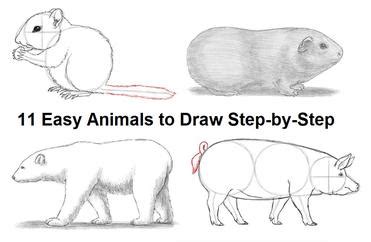 Easy Realistic Animal Drawings Step By Step