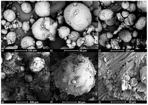 Micellar Carriers Based on Amphiphilic PEG/PCL Graft Copolymers for ...