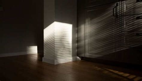 How to Get Rid Of Silverfish Insects at Home Naturally And Safely: Try ...