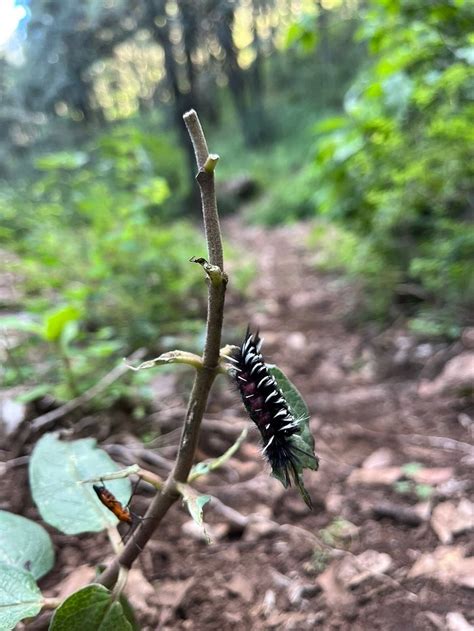 CABANAS BATHA (Amealco de Bonfil) - Campground Reviews & Photos ...