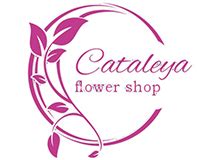 CVEĆARA I GIFT SHOP QUINCE FLOWER | dostava cveća Beograd, Quince ...