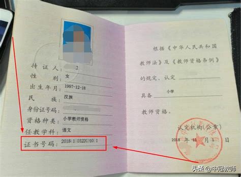 岳阳市初中毕业证编号几位数 - 毕业证样本网