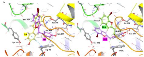 Structural Insight of New Butyrylcholinesterase Inhibitors Based on ...
