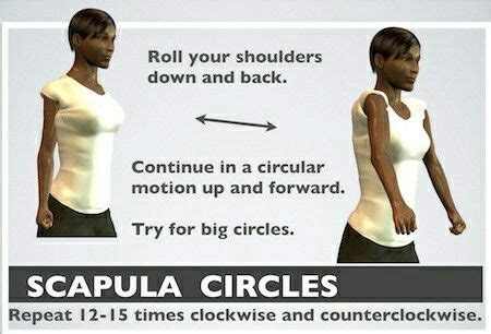 Scapula Stretching 的图像结果