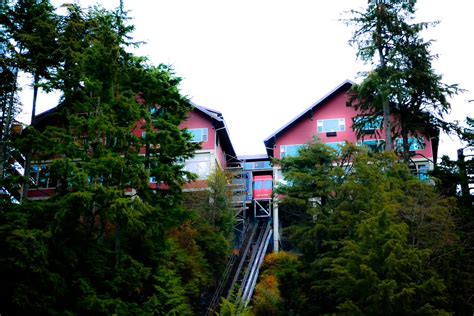 Cape Fox Lodge Restaurant: Pictures & Reviews - Tripadvisor