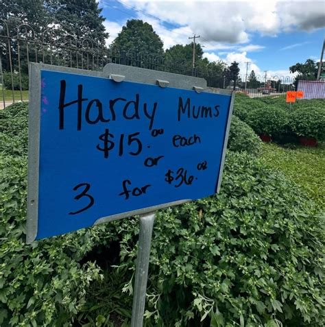 Daley Murphy Wisch and Associates Funeral Home and Crematorium ...