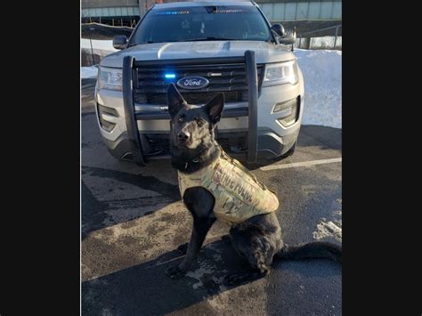 Officer-Involved Shooting, State Police K-9 Dies In Stonington ...