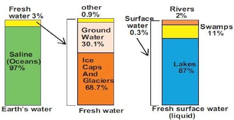 Draw chart of distribution of water in A4 sheet - Brainly.in