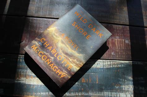 ‘Wild Dark Shore’ Review: Island Thriller Meets Climate Activism - The ...