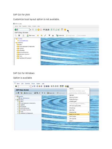 How to Install SAP GUI for Java 的图像结果