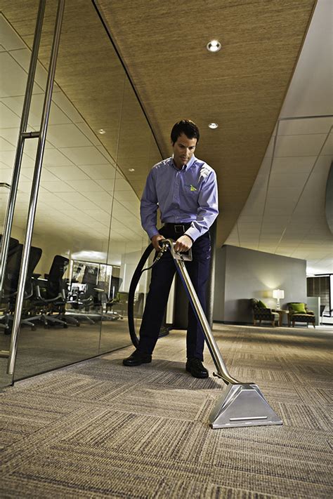 The Art and Science of Carpet Cleaning: Techniques, Benefits, and Best ...