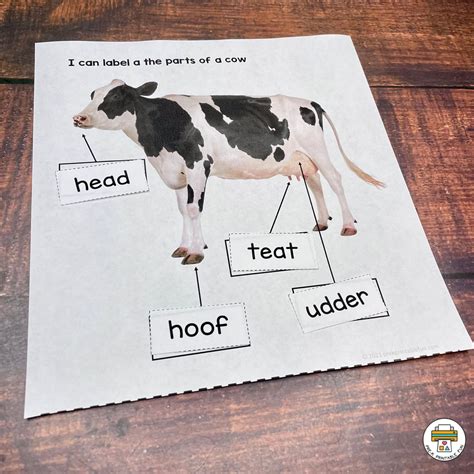 From Grass to Milk Pre-K Book Companion Activities
