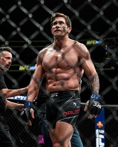 J. Gyllenhaal Updates on Twitter