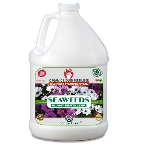 Sansar Green® Seaweeds Liquid Fertilizer for All Indoor and Outdoor ...