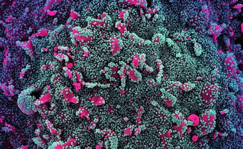 Image result for Variant Good Time