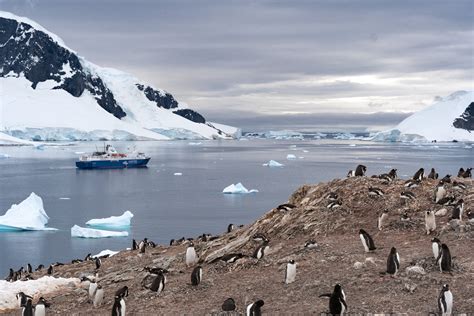 Antarctica Weather: A Month by Month Guide — Acanela Expeditions