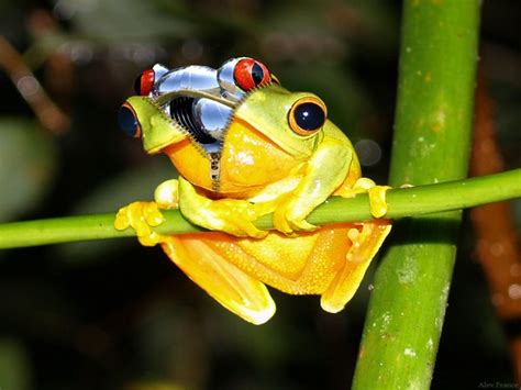 'Living robots' created to help human race survive in future!