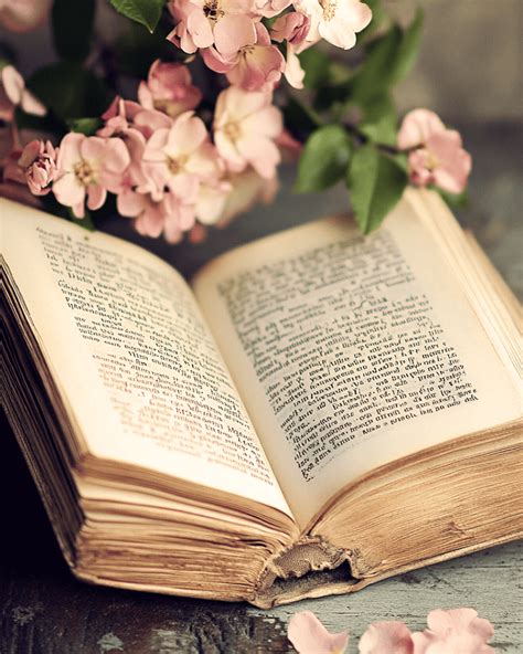 Songbird Predictive Programming 的图像结果