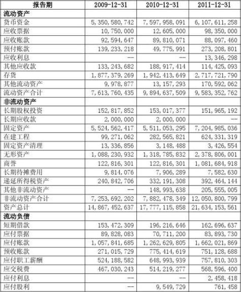 青岛海尔股份有限公司财务报表分析报告 - 范文118