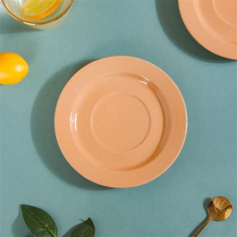 Color Plate Set of 2 Online - Premium Snack Plate | Nestasia
