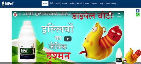 Digital Transformation - Sumitomo Chemical India Ltd.