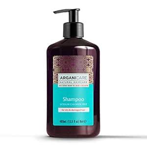 Arganicare Argan Oil Hair Shampoo For Dry & Damaged Hair (13.5 Oz ...