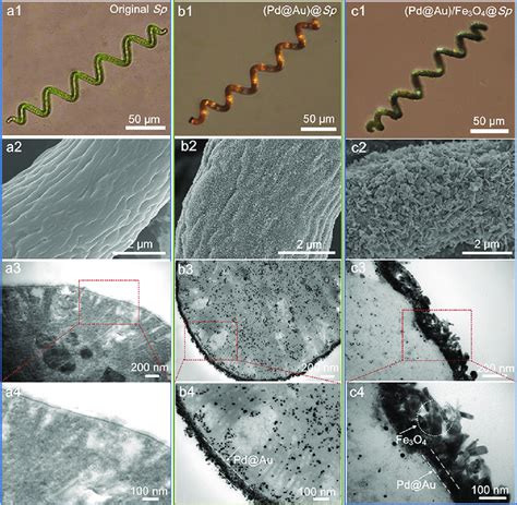 SEM, TEM, and EDS mapping images of the as-prepared (pristine) CoS x ...