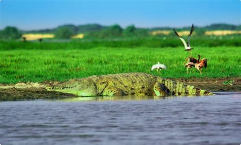 Venezuela's 11 Best Tourist Spots