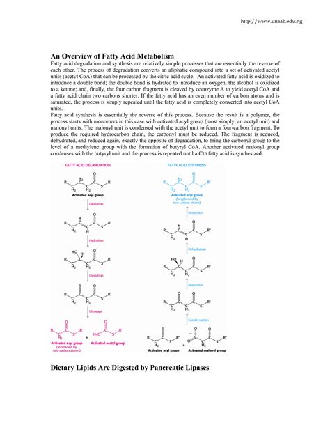 Metabolism of lipids.pdf for medical biochemists and medicine | PDF