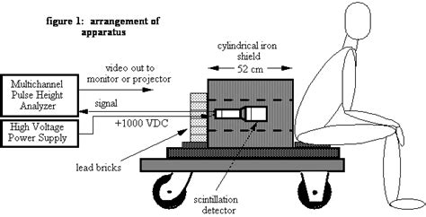Image result for Radioactivite Corps Humain
