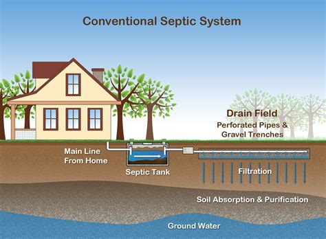 Septic Tank Maintenance: The Do's and Don'ts of Your Septic System ...