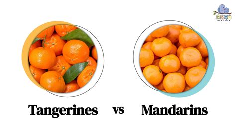 Tangerines