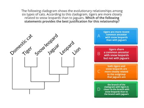 Image result for Cladogram Matrix Practice