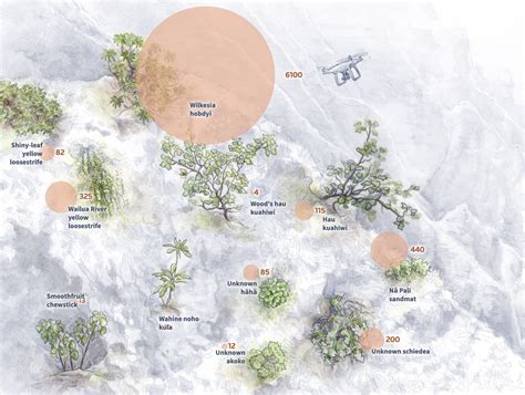 Battling plant extinction – FlowingData